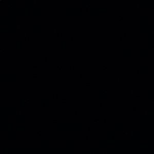 Meet your Posher, Jackson